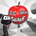 Черно-бяла змия (Black and white snake)